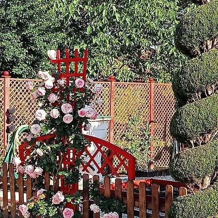 une pause quelque part au jardin des érables et des niwakis Saint-Medard-de-Guizieres Exterior foto