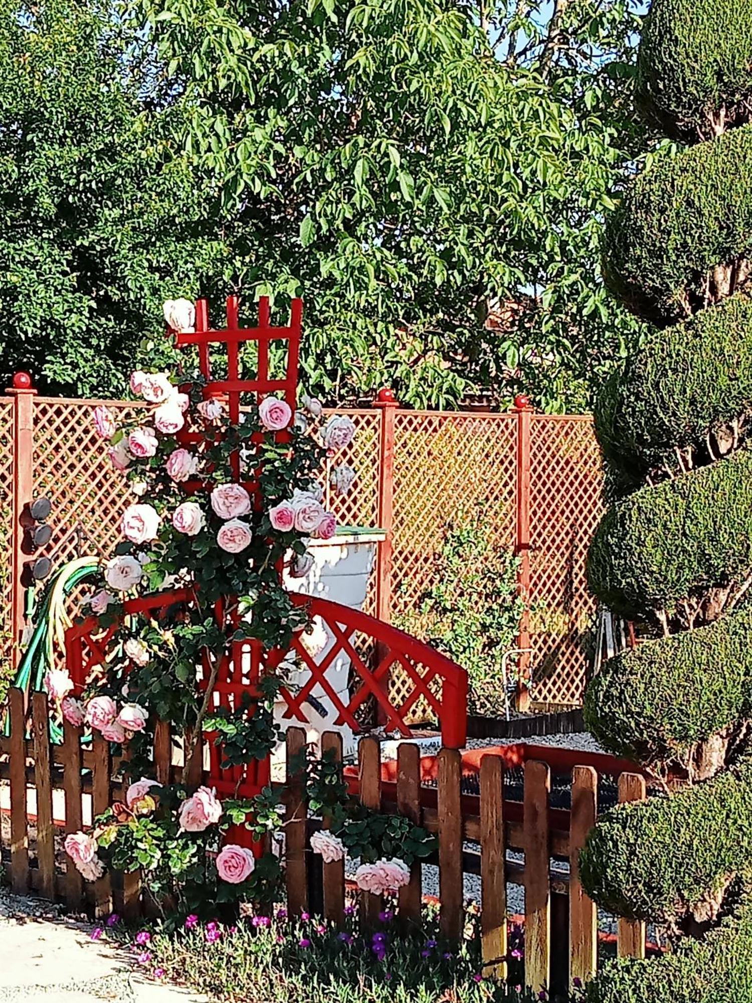 une pause quelque part au jardin des érables et des niwakis Saint-Medard-de-Guizieres Exterior foto